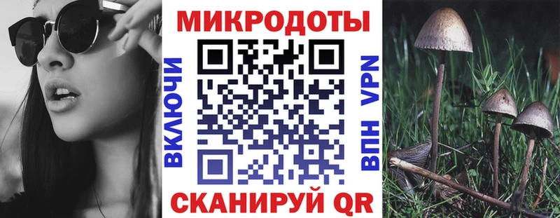 Галлюциногенные грибы прущие грибы Купить закладки Юрьев-Польский